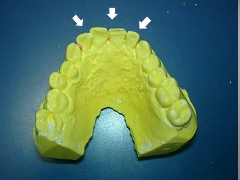 ������(�����ʊ�)